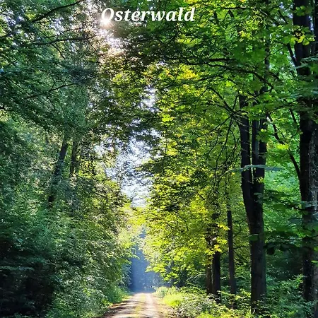Apartamento Kansteinblick Weserbergland *