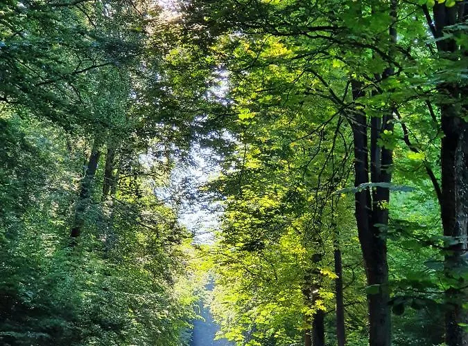 Apartmán Kansteinblick Weserbergland *